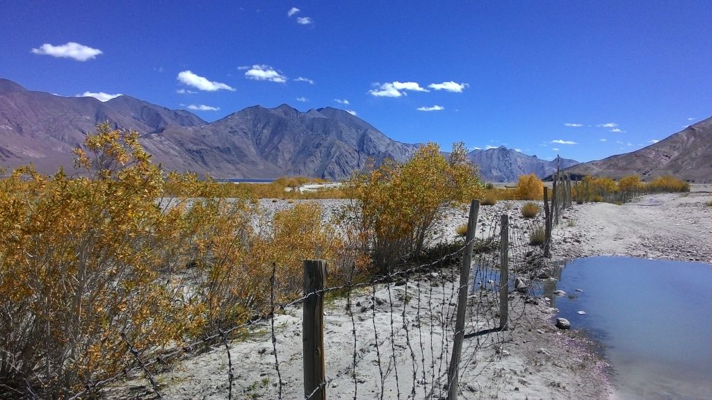 भारत के करीब चीन ने बिछाया गांवों का जाल
