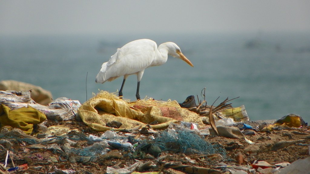 प्लास्टिक कचरे से निपटने के लिए नया अंतर्राष्ट्रीय समझौता